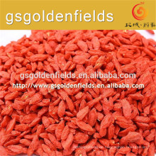 Goji-Beere-zertifizierte Bio-Goji-Beere